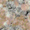 G 696