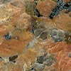 Tienshan Red
