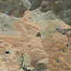Wuyi Red