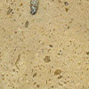 Henan Cream