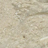 Whorl Cream