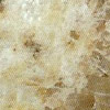 Giallo Ornamental