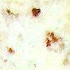 Ivory Brown
