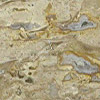 China Travertine 11